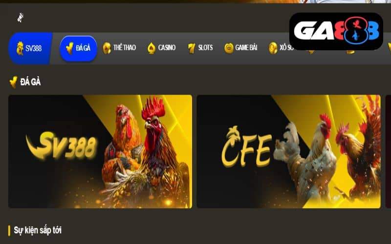 Chọn danh mục đá gà GA888 và sảnh chơi Chọn danh mục đá gà GA888 và sảnh chơi